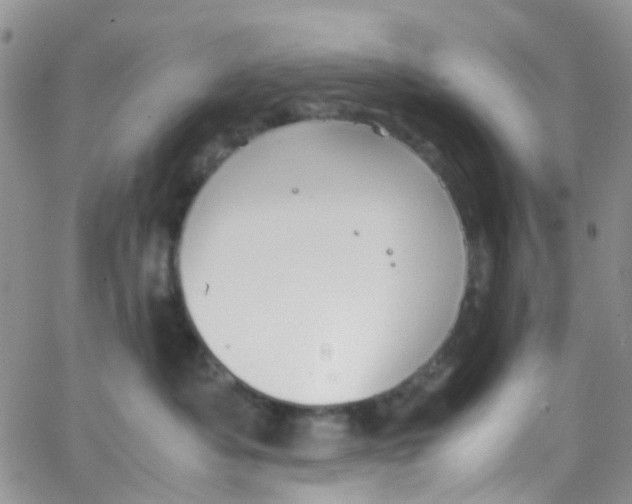 X0000065250525200603131131