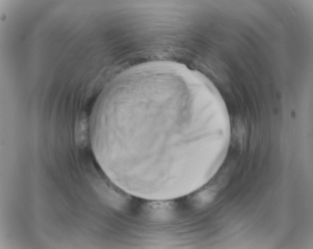 X0000065250526200603131131