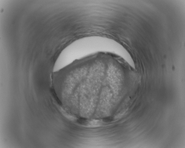 X0000065250527200603131131