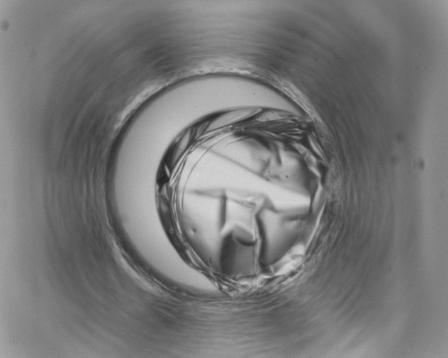 X0000065250530200603131130