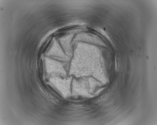 X0000065250531200603131130