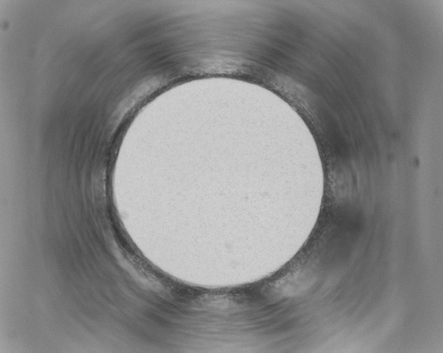 X0000065250534200603131130