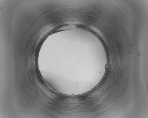 X0000065250535200603131130