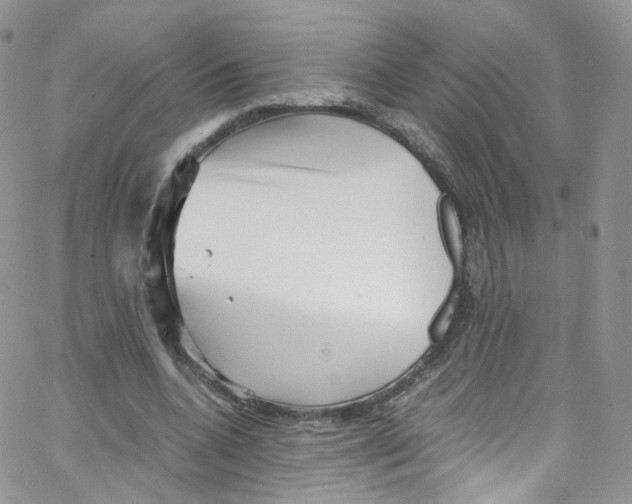 X0000065250536200603131130