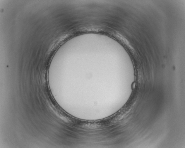 X0000065250537200603131130