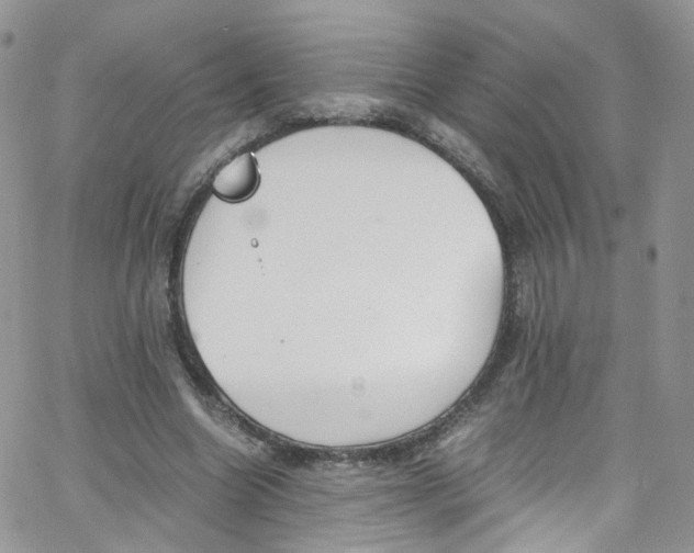 X0000065250538200603131130