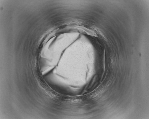 X0000065250539200603131130