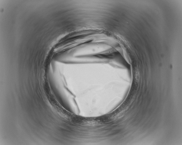 X0000065250540200603131130