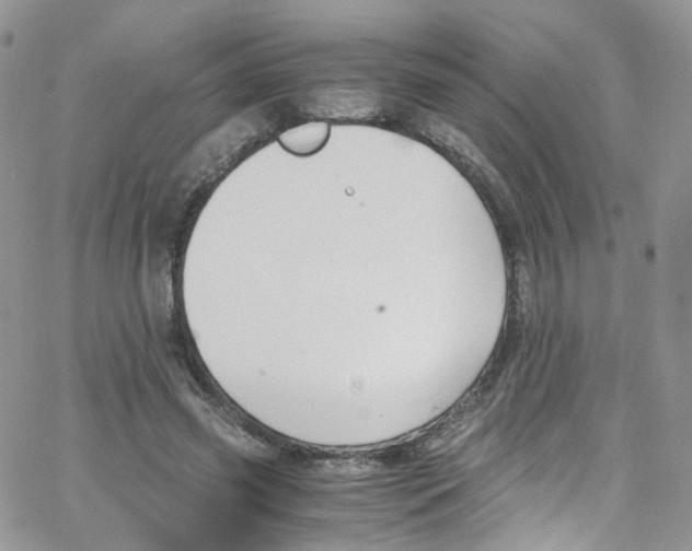 X0000065250541200603131130