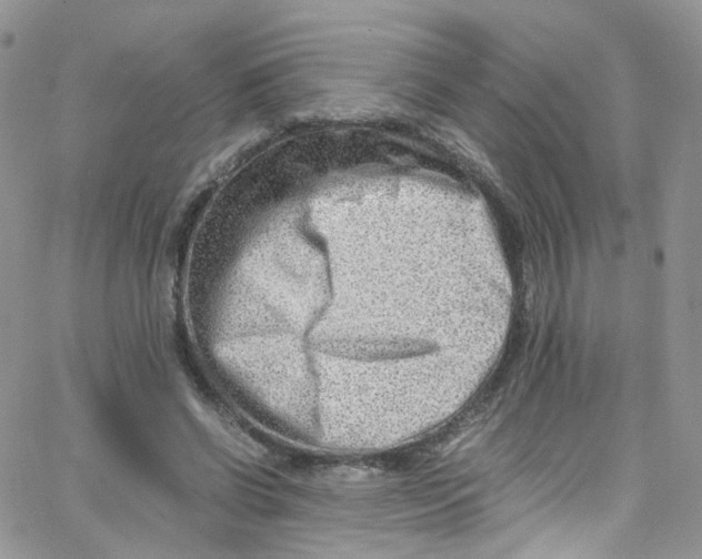 X0000065250542200603131130