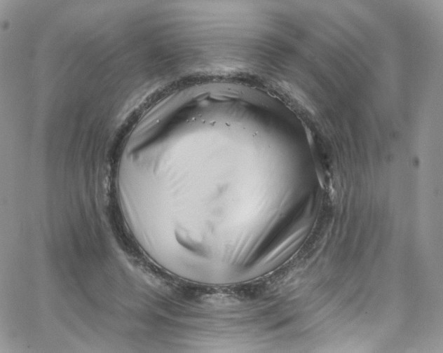 X0000065250544200603131130