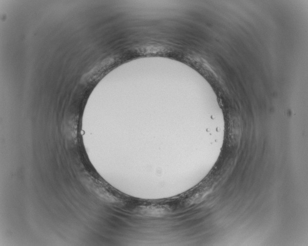 X0000065250545200603131130