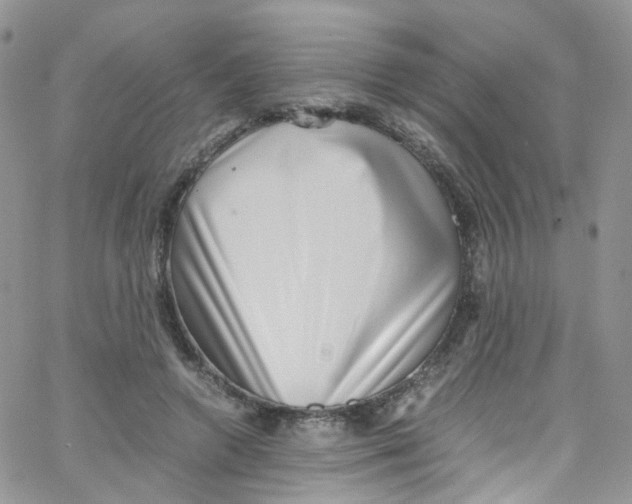 X0000065250546200603131130