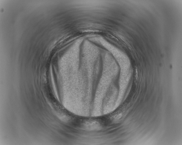 X0000065250547200603131130