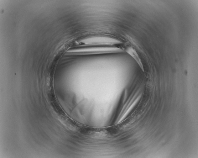 X0000065250548200603131130