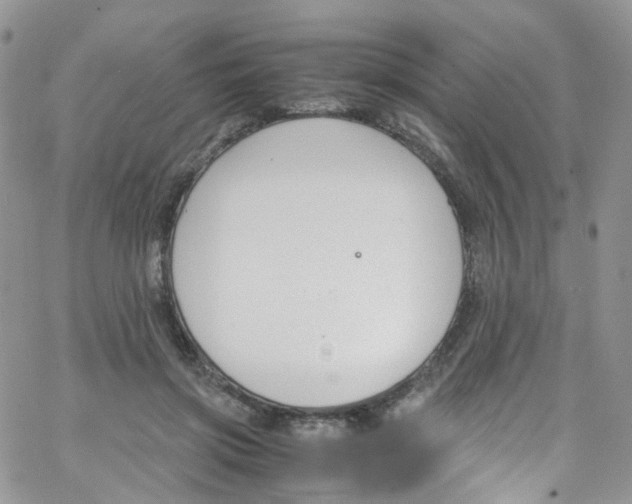 X0000065250549200603131130