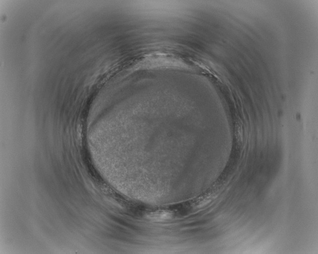 X0000065250551200603131130