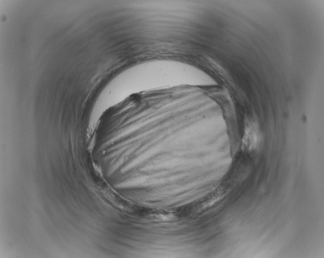 X0000065250552200603131130