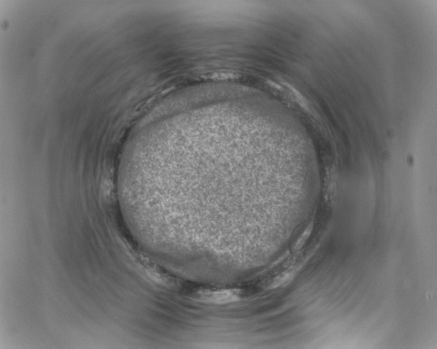 X0000065250553200603131130