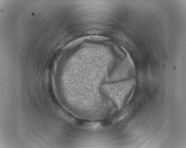 X0000065250554200603131130