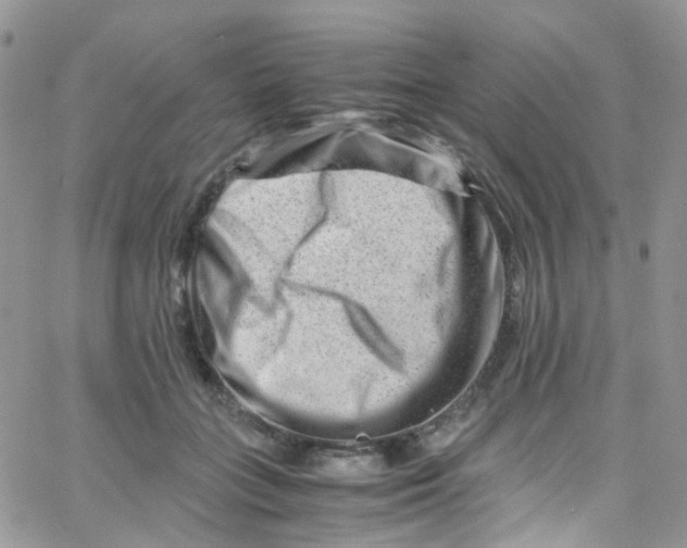 X0000065250555200603131131