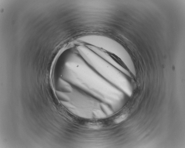 X0000065250556200603131131