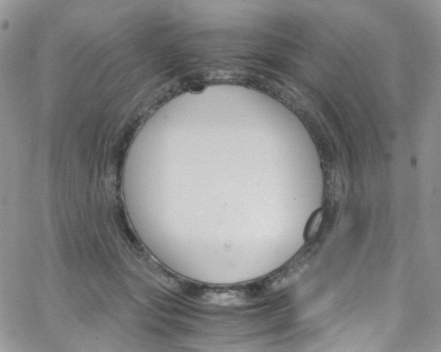 X0000065250557200603131131