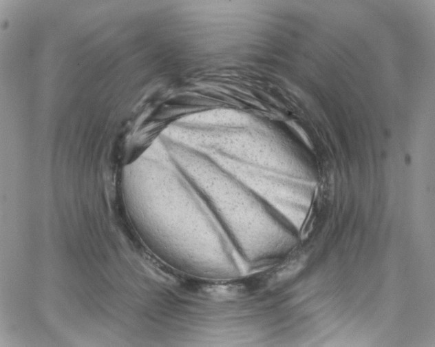 X0000065250558200603131131