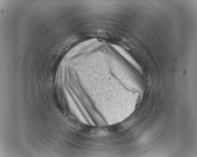 X0000065250559200603131131