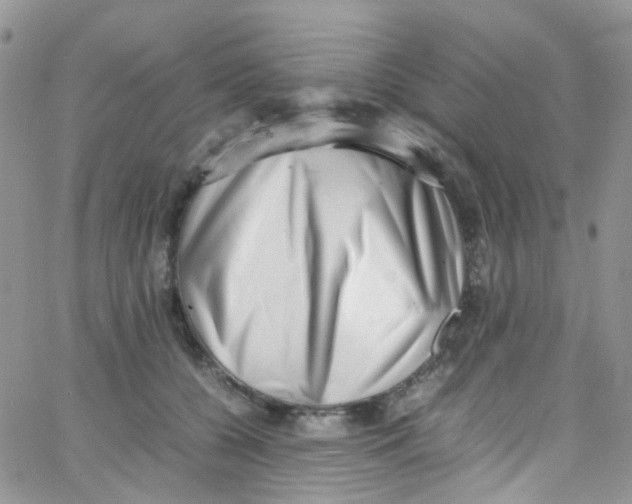 X0000065250560200603131131