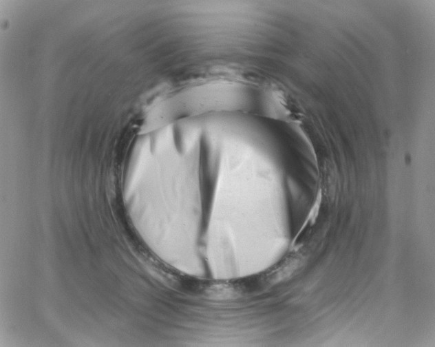 X0000065250562200603131131