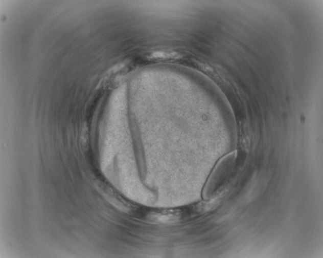 X0000065250563200603131131