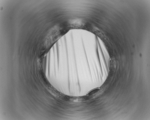 X0000065250564200603131131