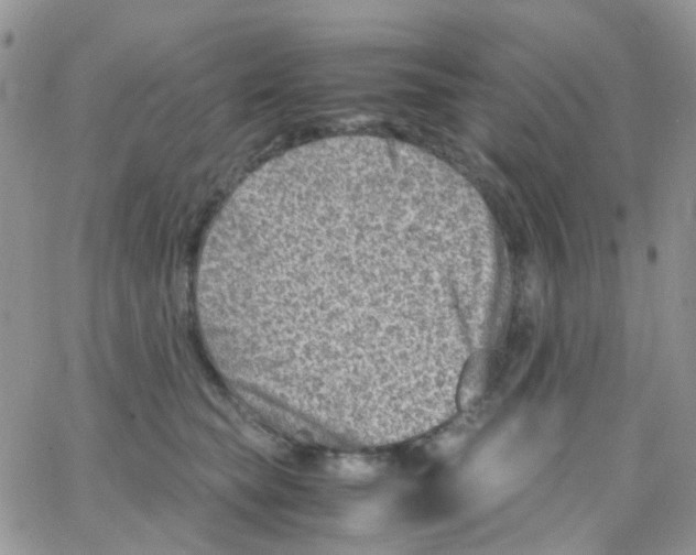 X0000065250565200603131131