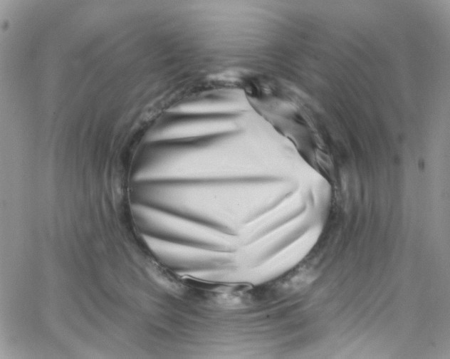 X0000065250566200603131131