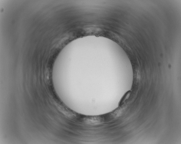 X0000065250567200603131131