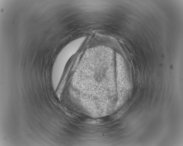 X0000065250569200603131131