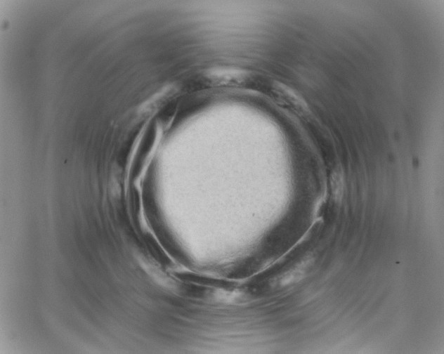 X0000065250570200603131131