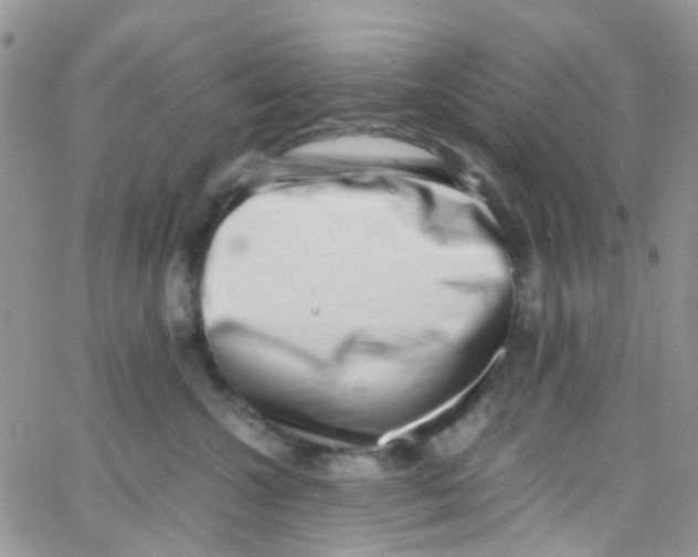 X0000065250572200603131131