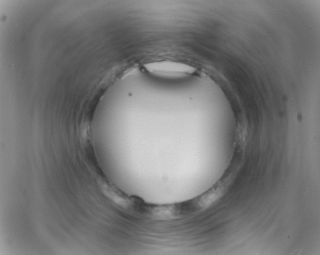 X0000065250574200603131131