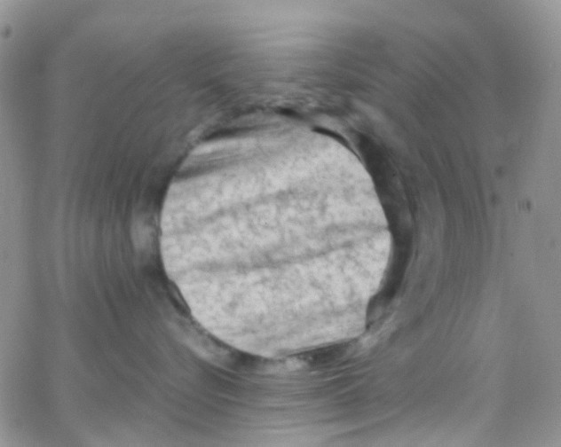 X0000065250576200603131131