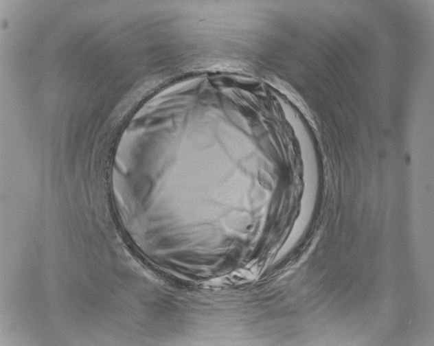 X0000065250577200603131130