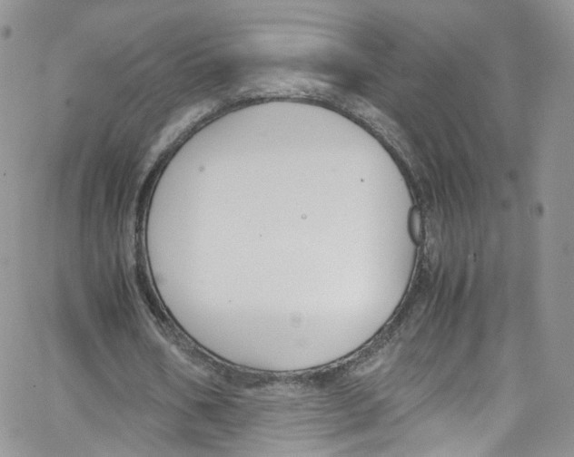 X0000065250578200603131130