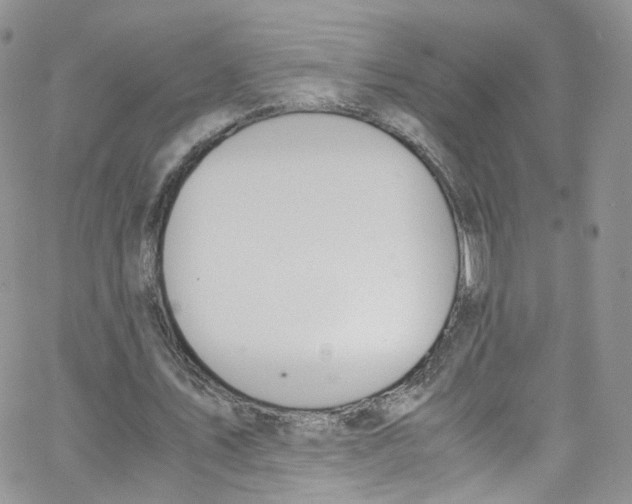 X0000065250579200603131130