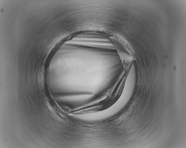 X0000065250580200603131130