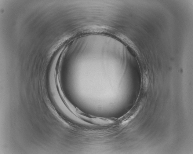 X0000065250581200603131130