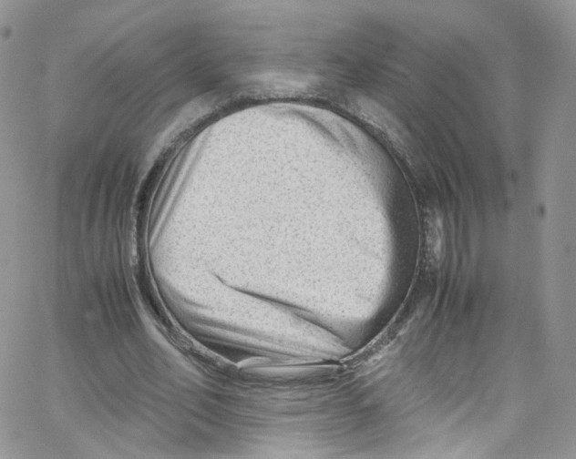 X0000065250582200603131130