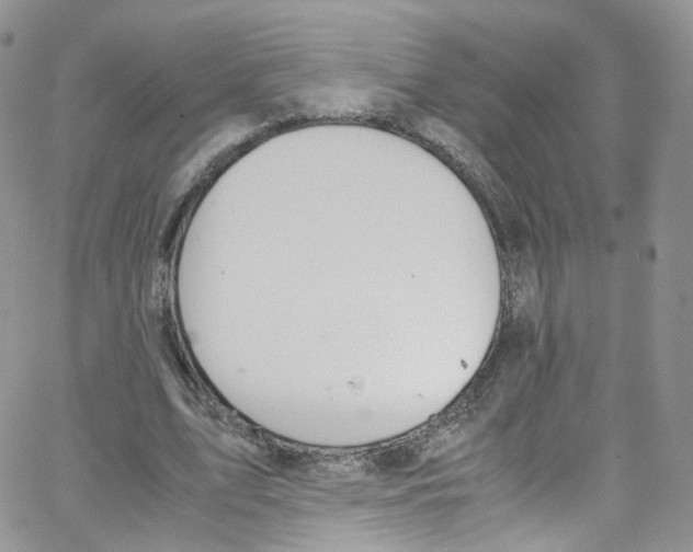 X0000065250583200603131130