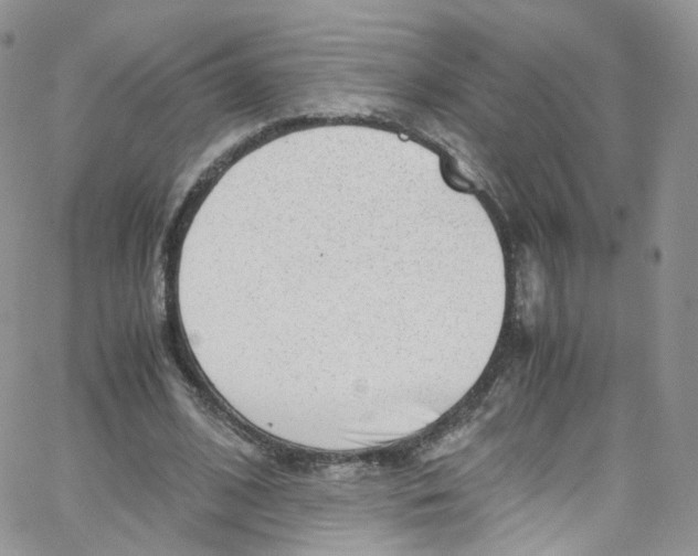 X0000065250584200603131130