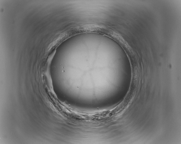 X0000065250585200603131130